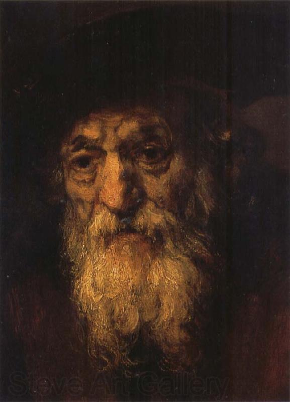 REMBRANDT Harmenszoon van Rijn Portrait of an Old Jew Spain oil painting art